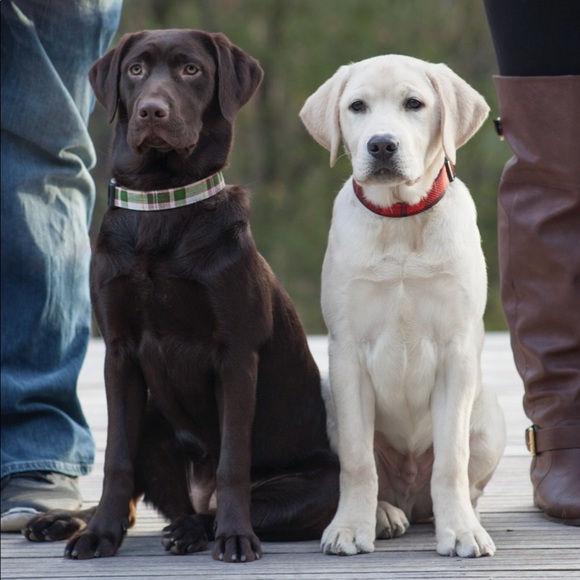 Meet Your Buyer/Seller - Picture 3 of 8